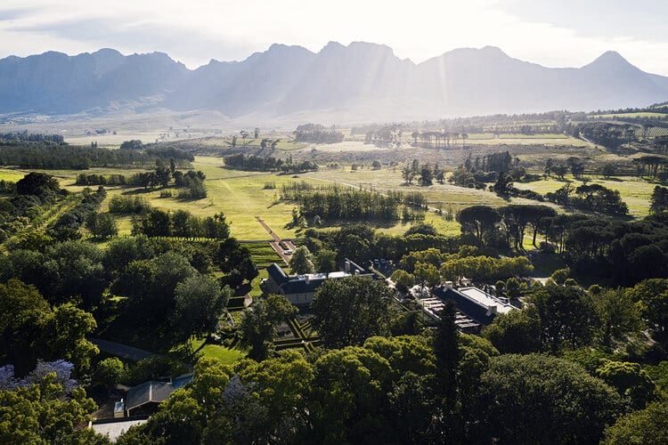 Vergelegen Wine Estate - Elsa Young Photography   