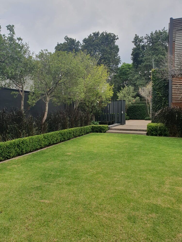 Modern Zen Garden in Houghton by Gregory Mark Landscapes