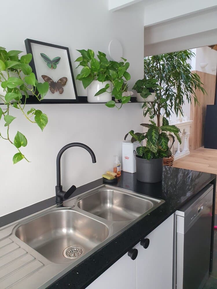 Greg’s Kitchen Sink At Home